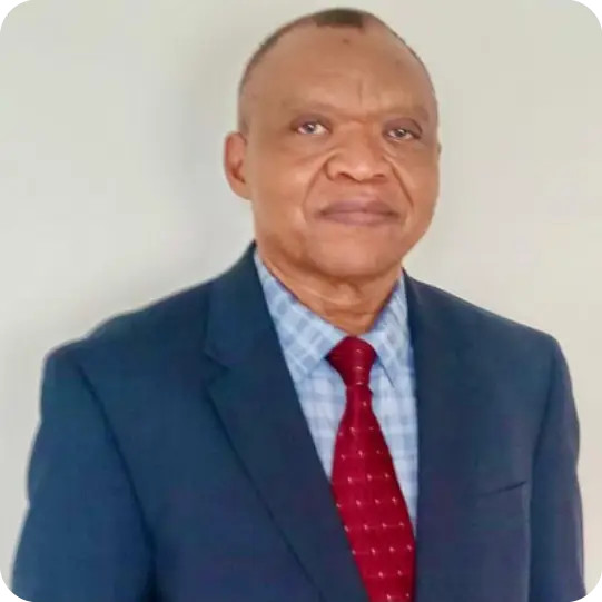 PROFESSOR RAYMOND AKWULE