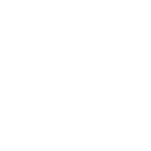 Investment Strategy
