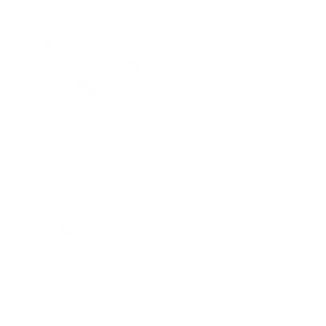Specialized Support